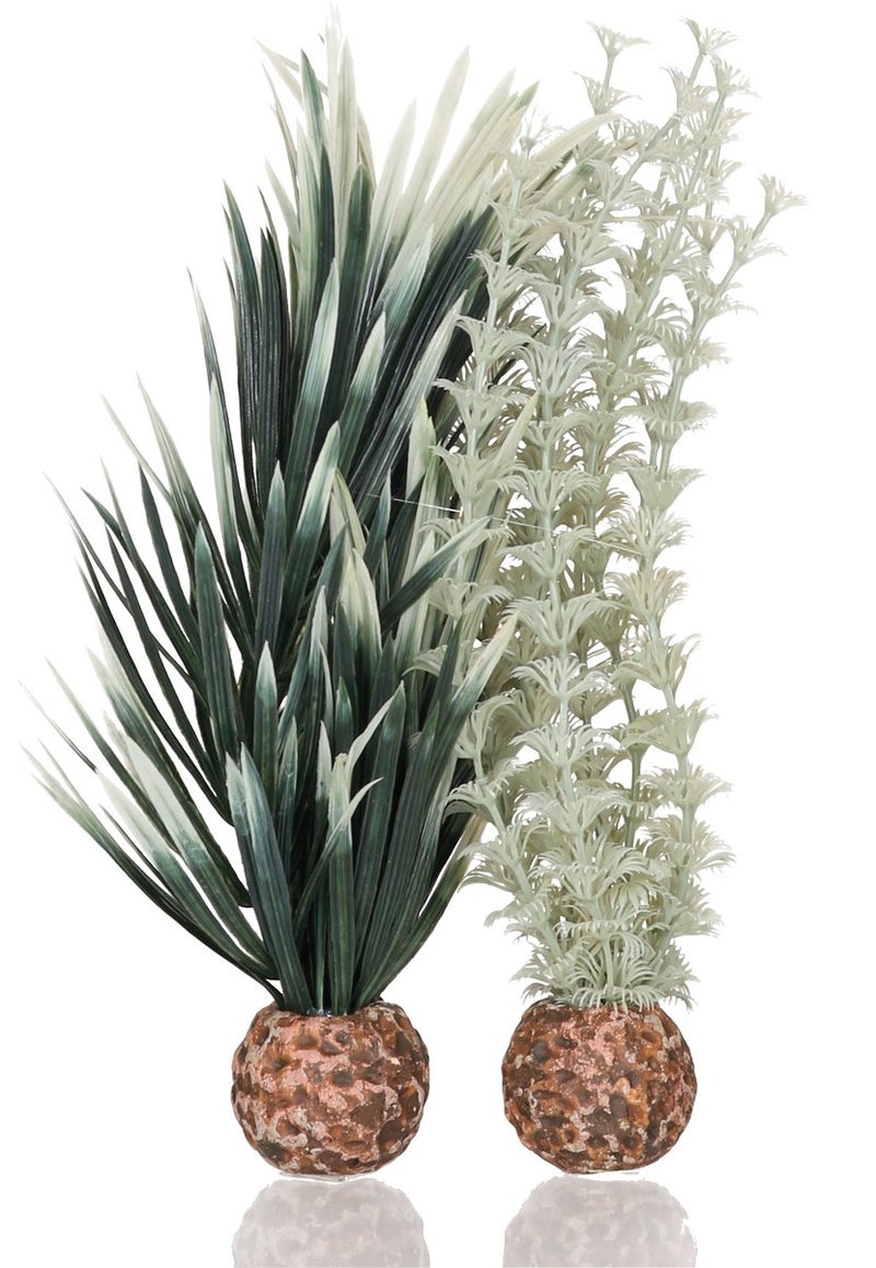 biOrb Small Ambulia Plant Set, Colorful and Durable Aquarium Decorations, Gray-Green - Image 1